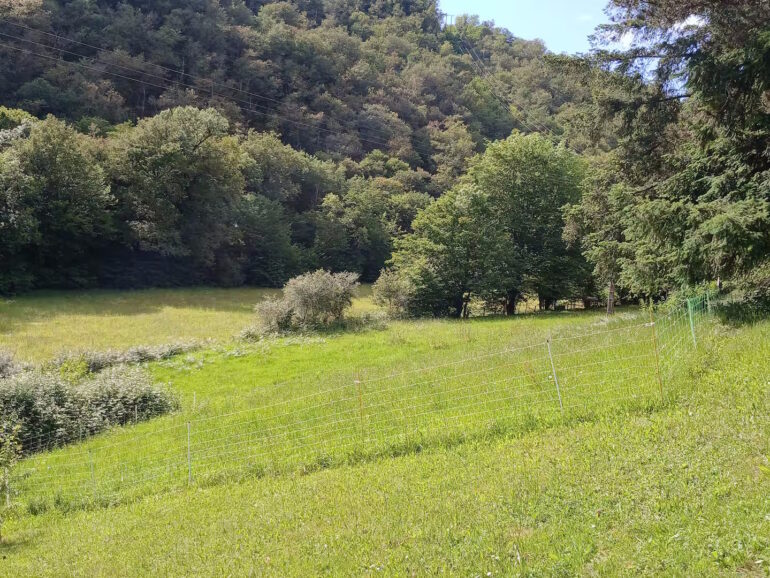 Gite La Comte Hobbit La Forêt